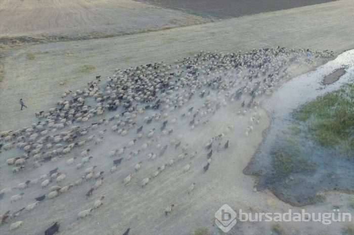 Çeleli yolculuk drone'la kaydedildi