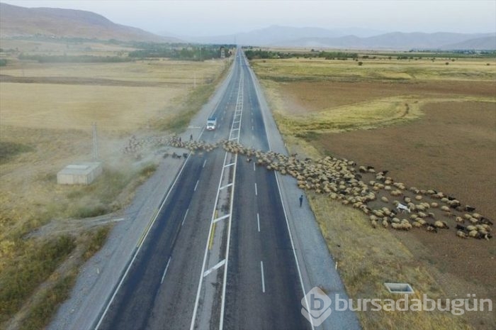 Çeleli yolculuk drone'la kaydedildi