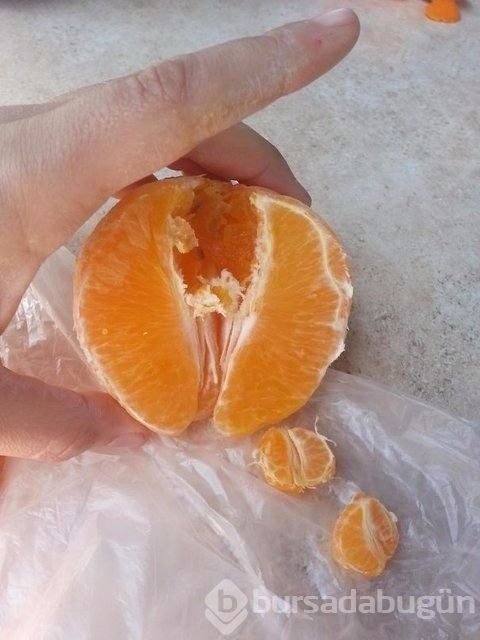 Hayretle paylaştı böylesi zor bulunur 
