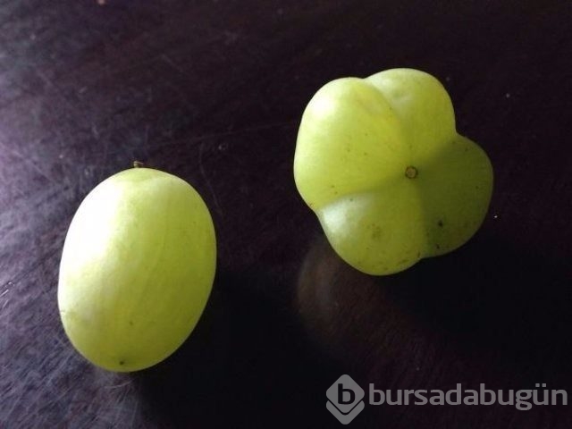 Hayretle paylaştı böylesi zor bulunur 