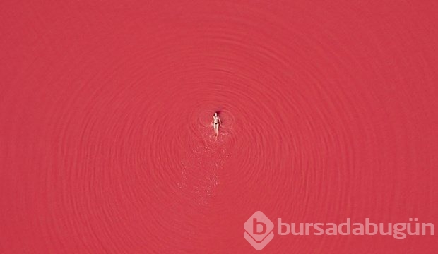 Yılın doğa fotoğrafçısı