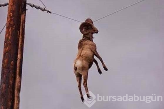 Dünyadan ilginç fotoğraflar 