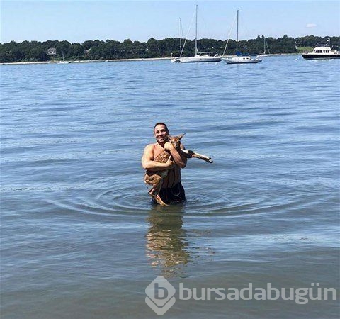 Dünyadan ilginç fotoğraflar 