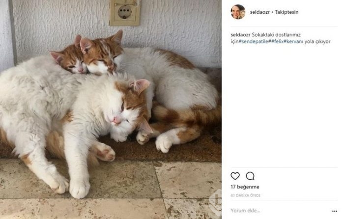 İnstagram'da ünlüler