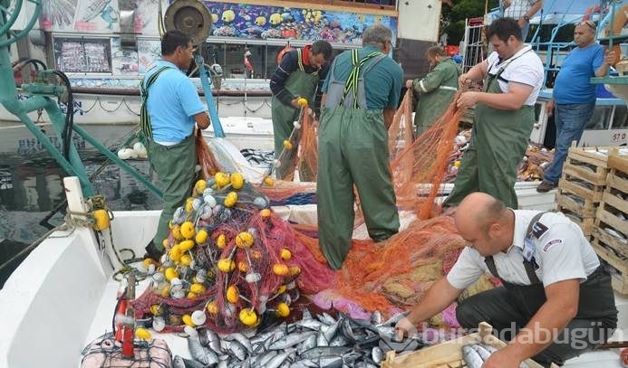 Palamut avı şaşırttı