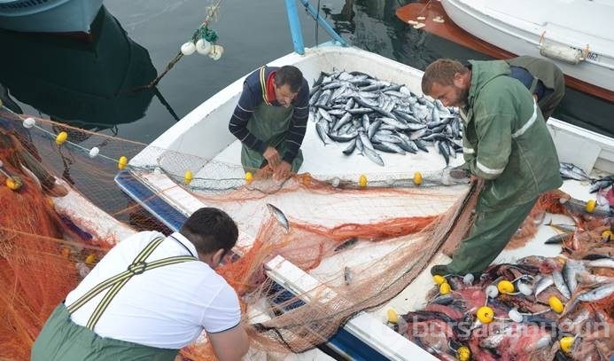 Palamut avı şaşırttı