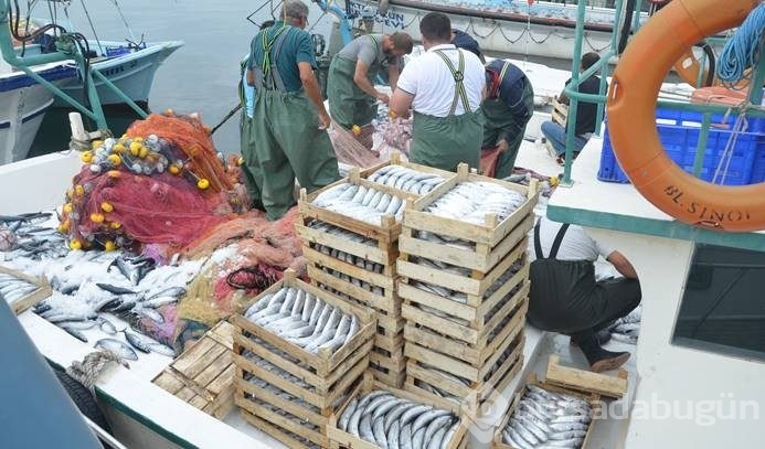 Palamut avı şaşırttı