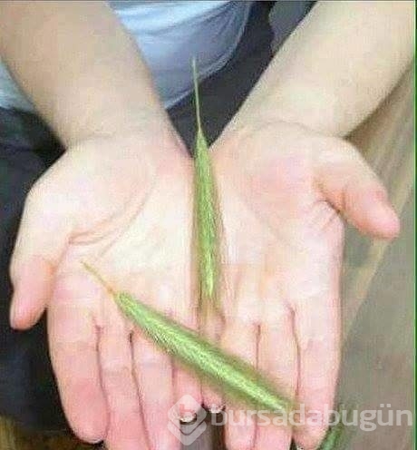 Bir neslin bilemeyeceği şeyler