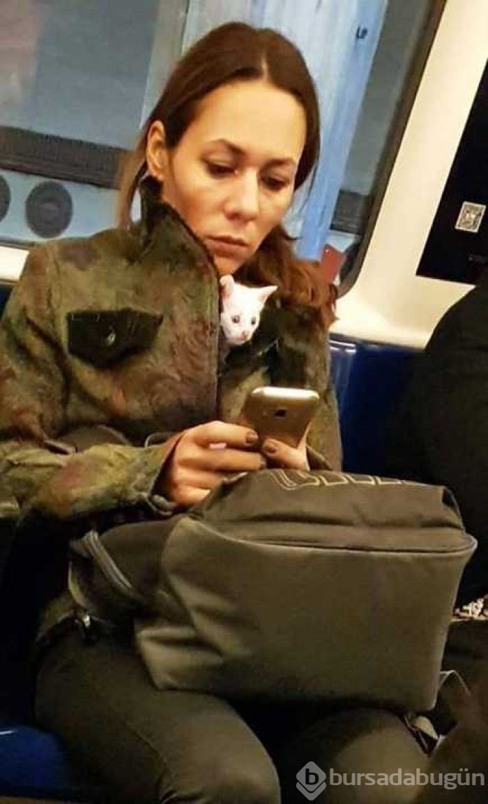 En çok paylaşılan fotoğraflar