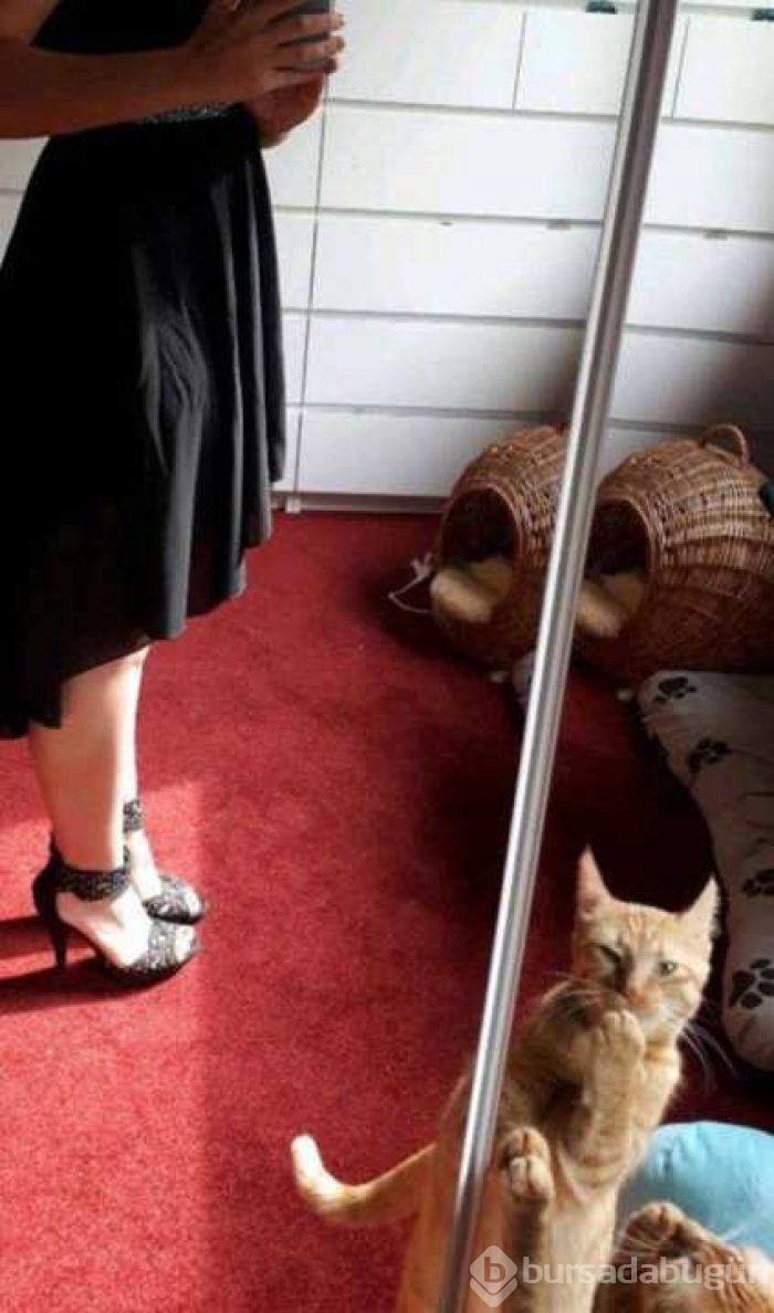 En çok paylaşılan fotoğraflar