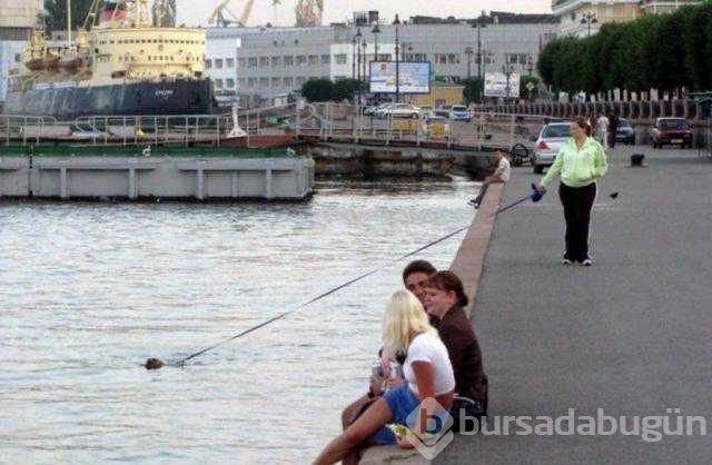 En çok paylaşılan fotoğraflar