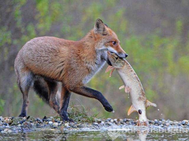 En çok paylaşılan fotoğraflar