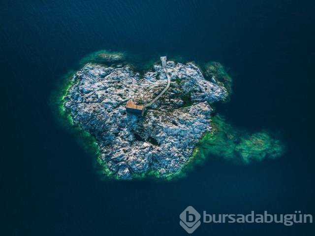 En çok paylaşılan fotoğraflar