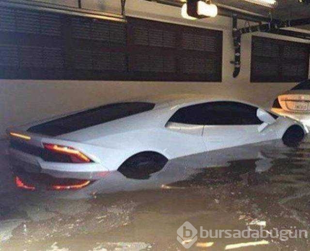 En çok paylaşılan fotoğraflar