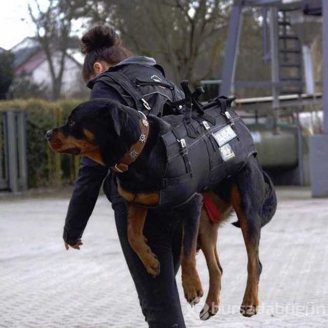 En çok paylaşılan fotoğraflar