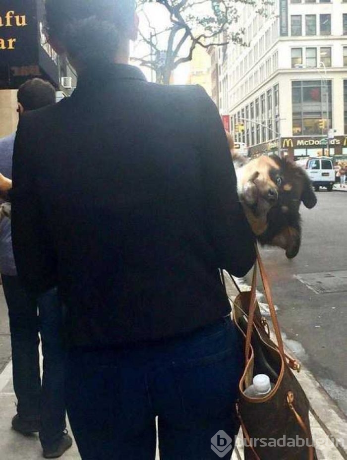 En çok paylaşılan fotoğraflar