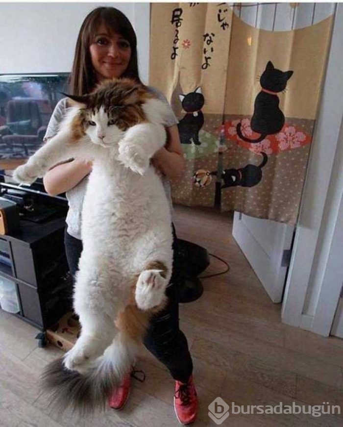 En çok paylaşılan fotoğraflar