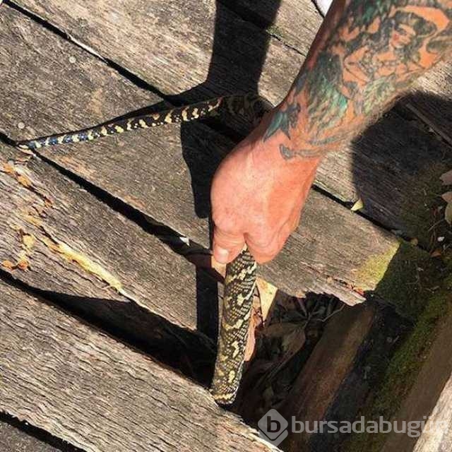 En çok paylaşılan fotoğraflar