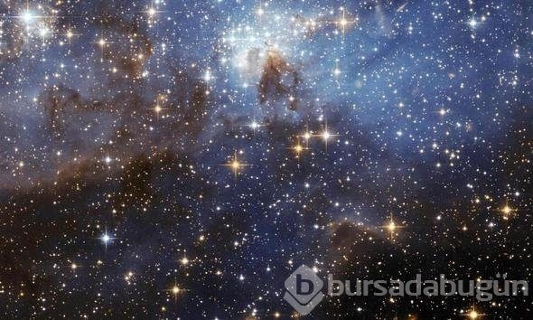 Bu bilgilere çok şaşıracaksınız