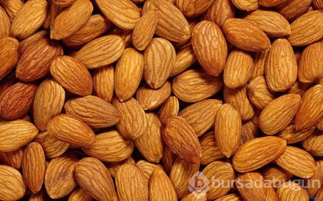 10 yüksek proteinli gıda