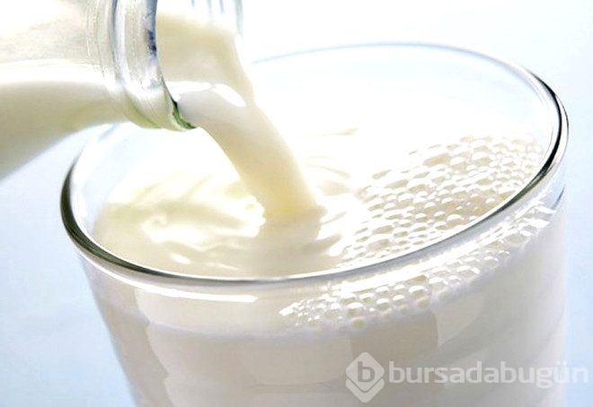 10 yüksek proteinli gıda