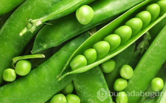 10 yüksek proteinli gıda