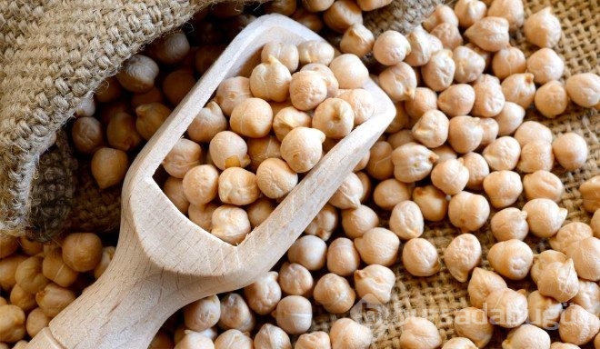 10 yüksek proteinli gıda