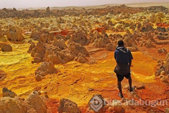 Muhteşem fotoğraflar