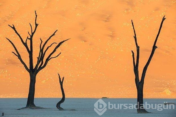 Muhteşem fotoğraflar