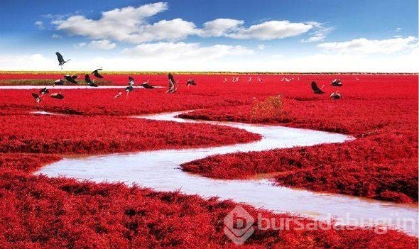 Muhteşem fotoğraflar