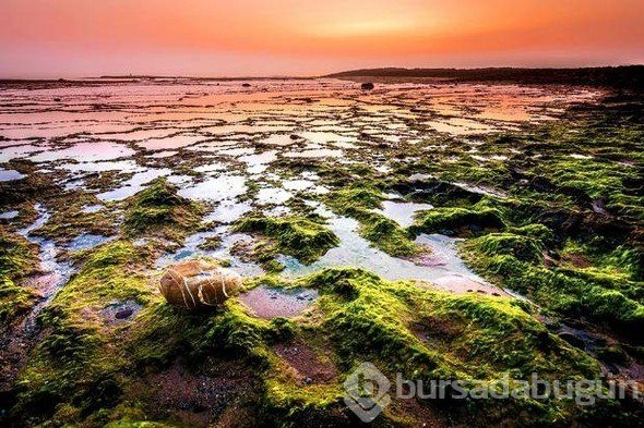 Muhteşem fotoğraflar
