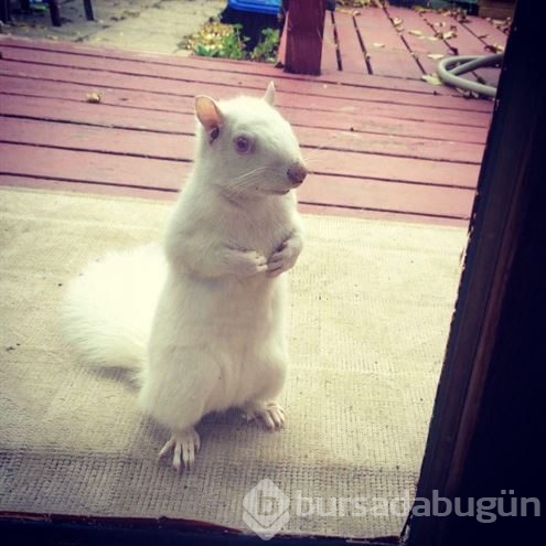 Günün en ilgi çeken fotoğrafları