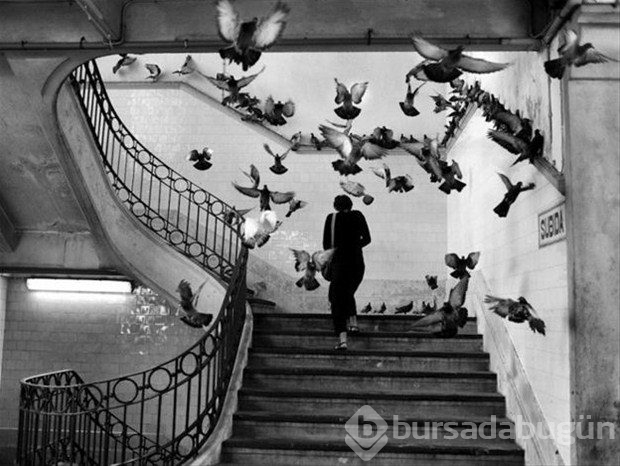 Günün en ilgi çeken fotoğrafları