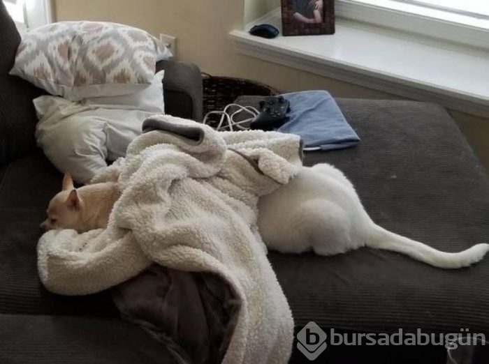 Paylaşım rekorları kıran kareler