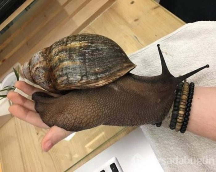 Paylaşım rekorları kıran kareler