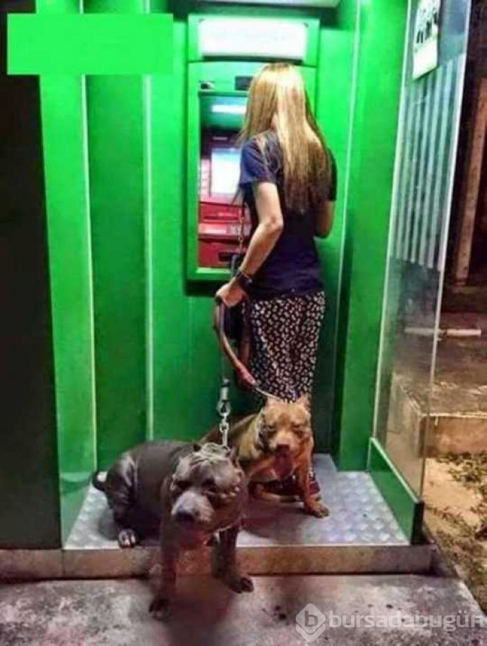 Hırsızların korkulu rüyası