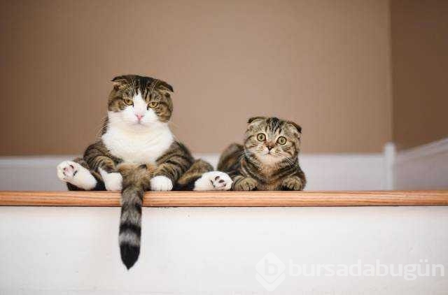 Günün fotoğrafları