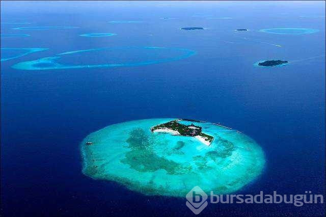 Günün fotoğrafları