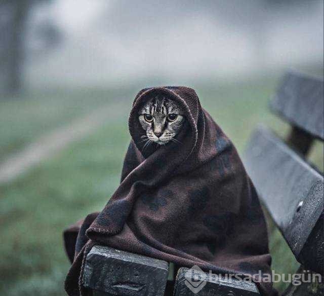 Günün fotoğrafları