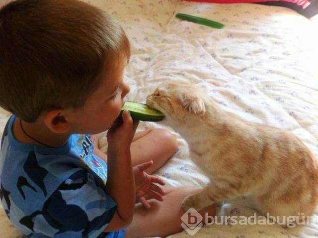 Günün fotoğrafları