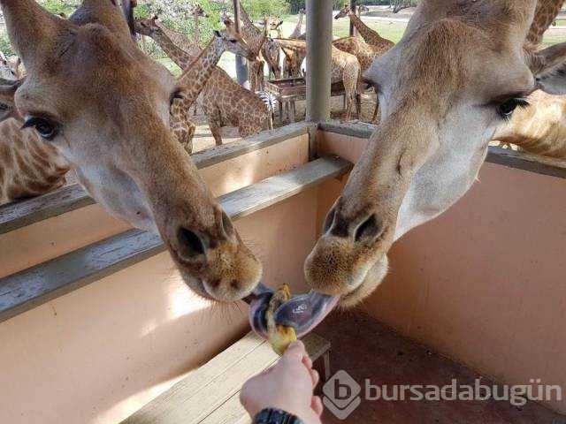 Günün fotoğrafları