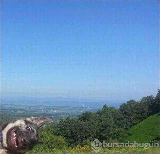 Günün fotoğrafları