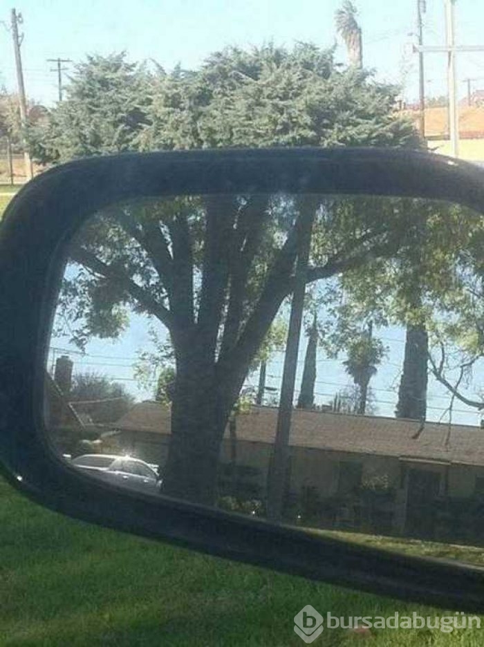 Günün fotoğrafları