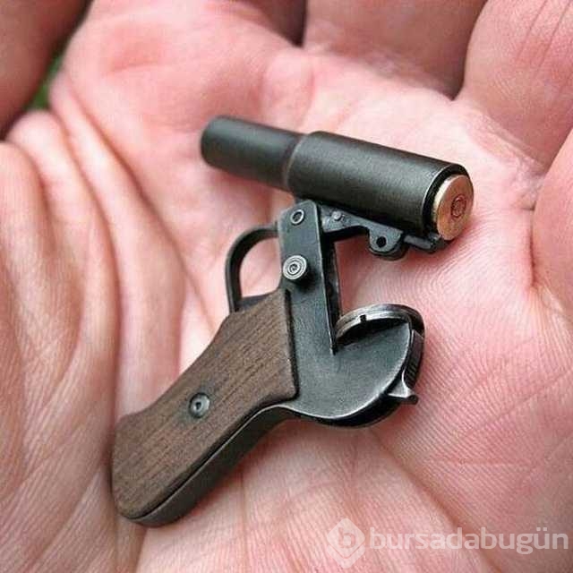 Günün fotoğrafları
