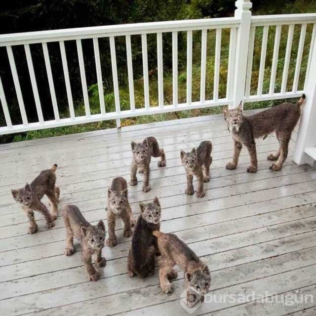 Günün fotoğrafları