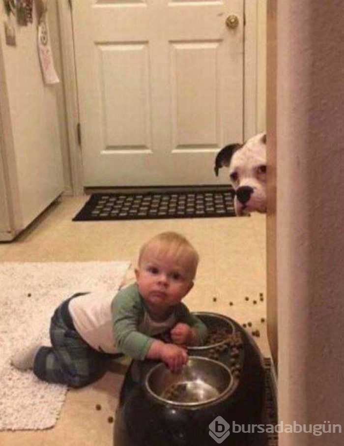 Günün fotoğrafları