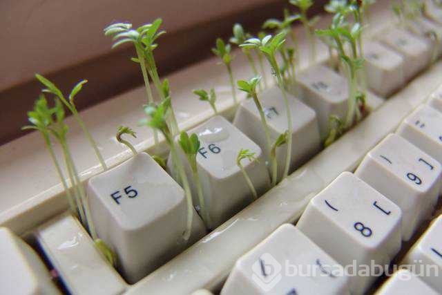 Günün en çok paylaşılan fotoğrafları