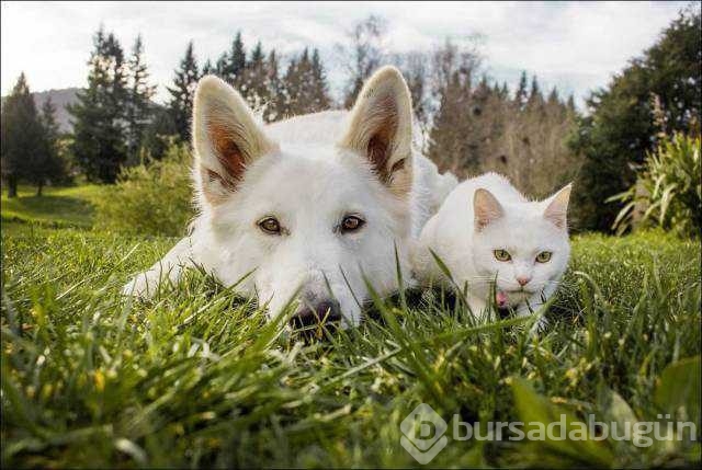 Günün en çok paylaşılan fotoğrafları