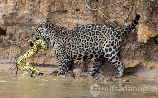 Günün en çok paylaşılan fotoğrafları