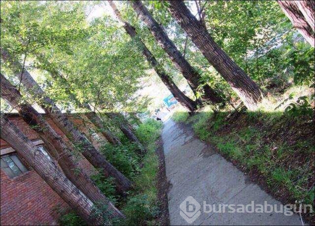 Günün en çok paylaşılan fotoğrafları